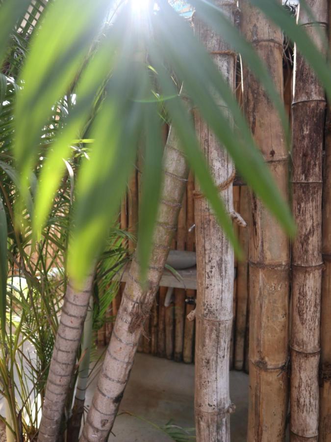 Steffi'S Mandala Hotel ฮิกคาดูวา ภายนอก รูปภาพ